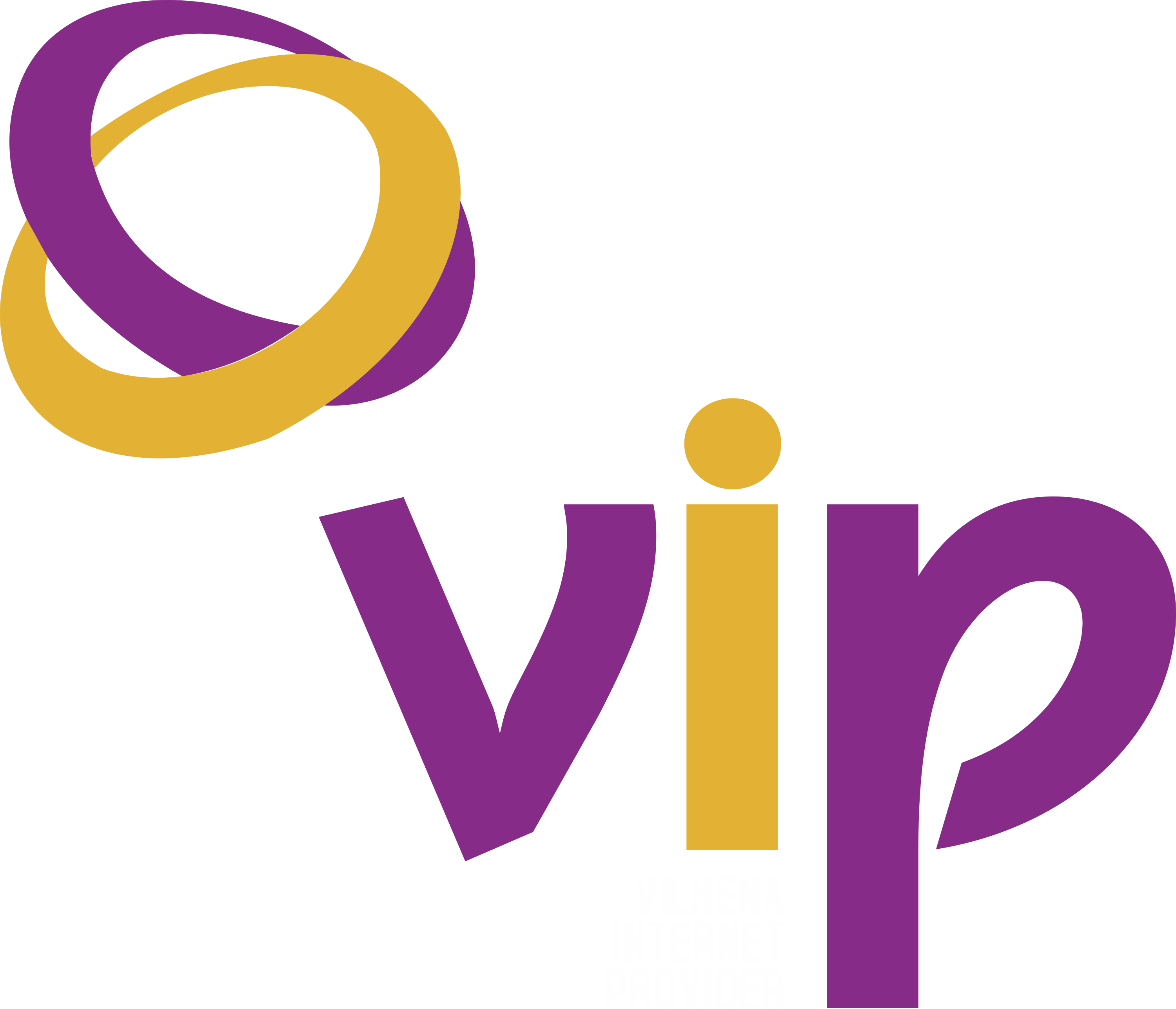 Vip Vilhena –  Sua conexão de alta velocidade para o futuro!